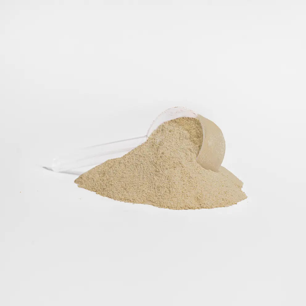 PAC of Plant Protein Isolate